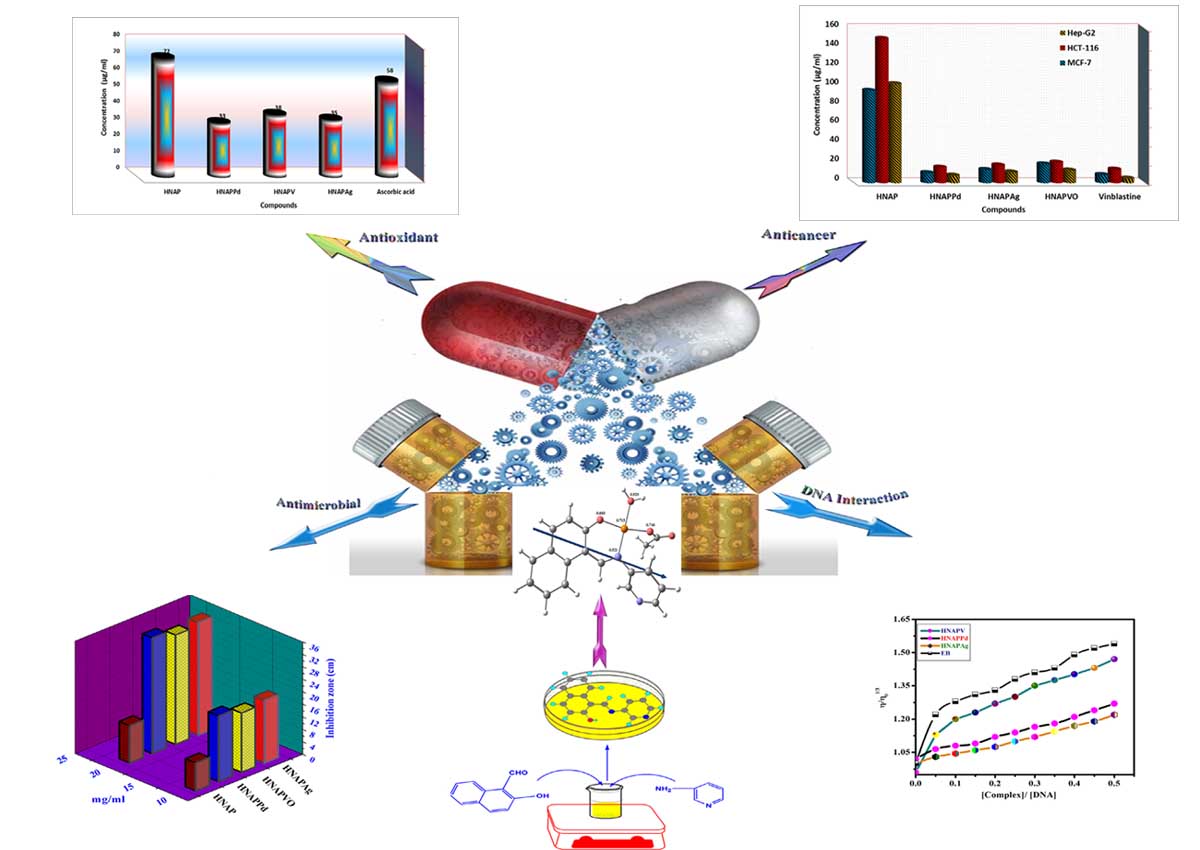 A robust in vitro Anticancerc, Antioxidant and Antimicrobial Agents Based on New Metal-Azomethine Chelates Incorporating Ag(I),  VO(II)  and Pd(II) Cations: Probing the Aspects of DNA Interaction
